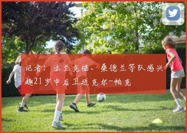 记者：法兰克福、桑德兰等队感兴趣21岁中后卫迈克尔-帕克